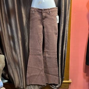 PacSun brand new Brown extreme low rise flare gene in size 24